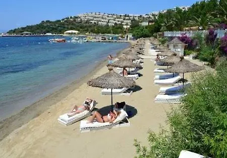 Sianji Sargon Vila Turgutreis